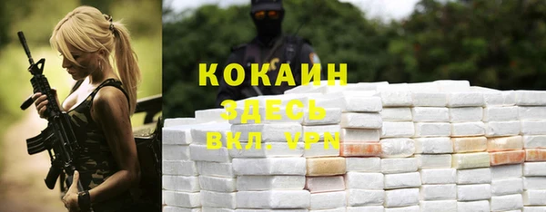 первитин Заводоуковск