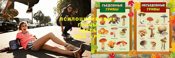 первитин Заводоуковск